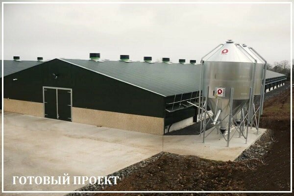 Этапы возведения птицефабрики от завода ВелесТент-чнс